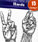 Hands-vectors