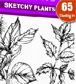 sketchy plants